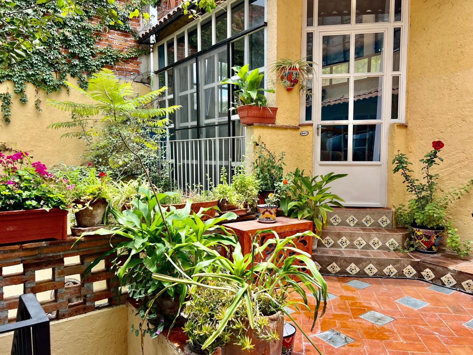 Casa Contenta San Miguel de Allende Exterior foto